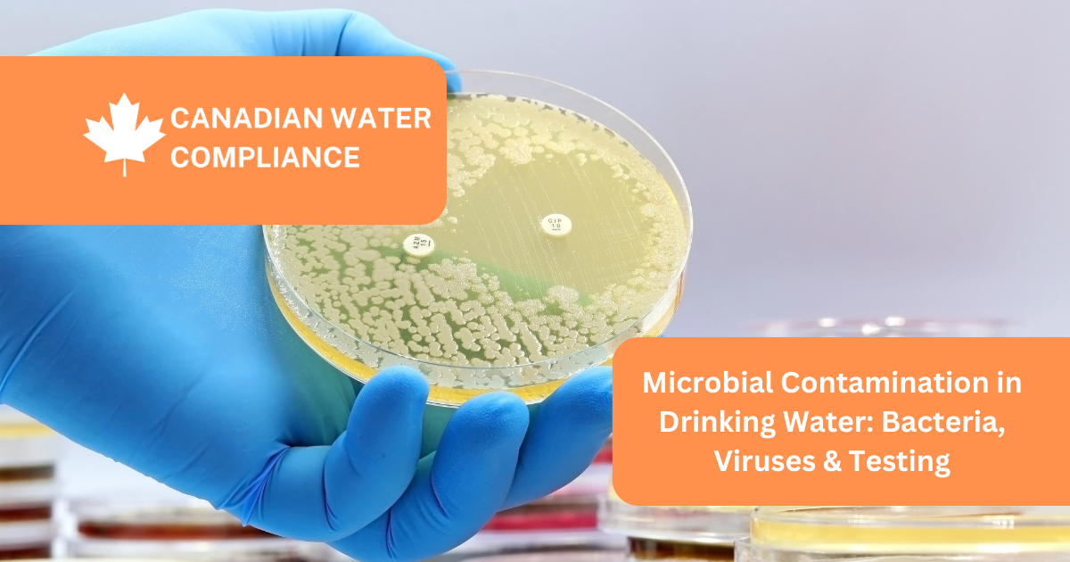 Microbial Contamination in Drinking Water: Bacteria, Viruses & Testing