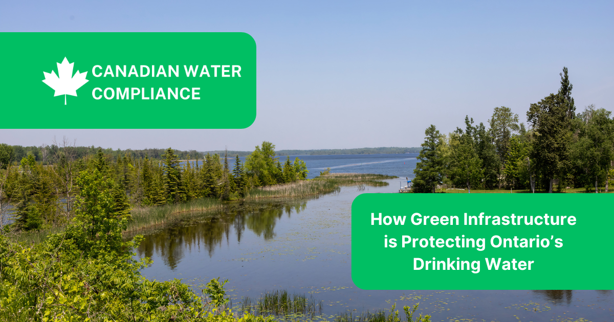 How Green Infrastructure is Protecting Ontario’s Drinking Water