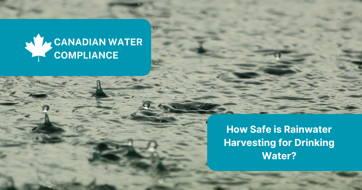 How Safe is Rainwater Harvesting for Drinking Water?