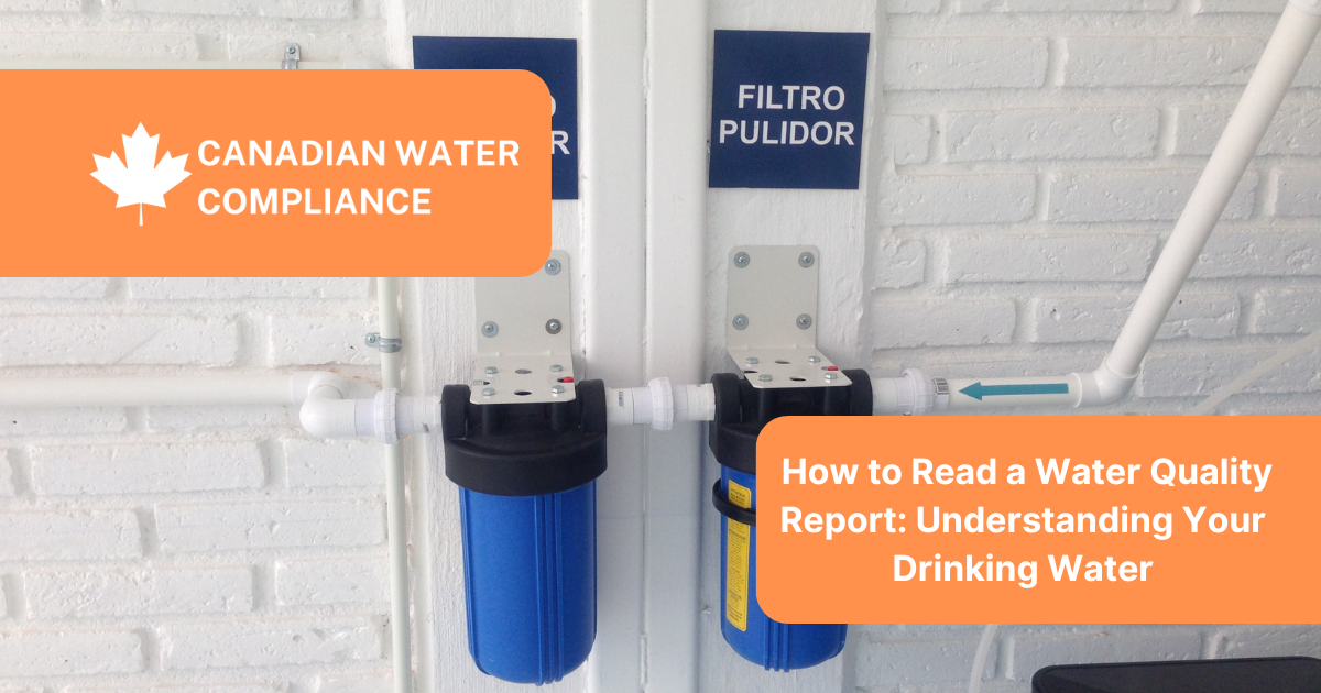 Understanding the Different Types of Water Filters and Which One You Need